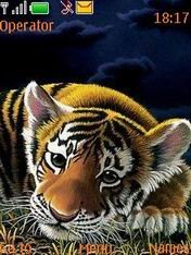 game pic for Tiger Cub